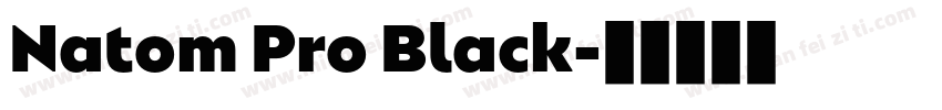Natom Pro Black字体转换